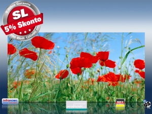 Infrarot Bildheizung 700 Watt Rahmenlos slim-line 120x60 Roter Mohn