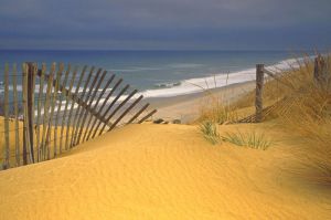 Bildheizung-Motiv Dne fr Standard Infrarotheizungen