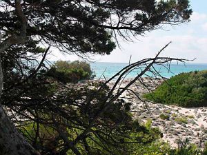 Bildheizung-Motiv Strand Mallorca f�r Standard Infrarotheizung