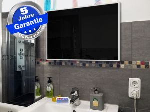 Infrarotheizung Glas schwarz Spiegelheizung Bad 500 Watt 90x60 M10W