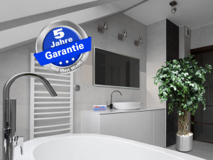 Infrarotheizung schwarz Spiegelheizung Bad 500 Watt 90x60 M23