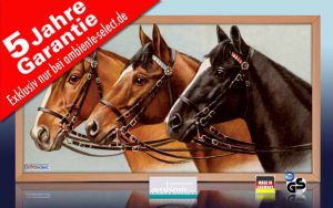 Infrarot Bildheizung 600 Watt 110x60 Holzrahmen HB30 Drei Pferde