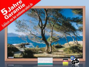 infrarot Bildheizung 500 Watt 90x60 Holzrahmen HB30 Cala Sa Val