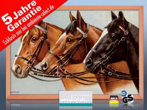 Infrarot Bildheizung 500 Watt 90x60 Holzrahmen HB30 Drei Pferde