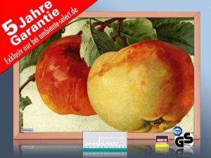 infrarot Bildheizung 500 Watt 90x60 Holzrahmen HB30 Litho Äpfel